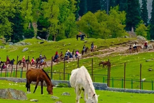 Kashmir summer tour package 4 Night 5 Days