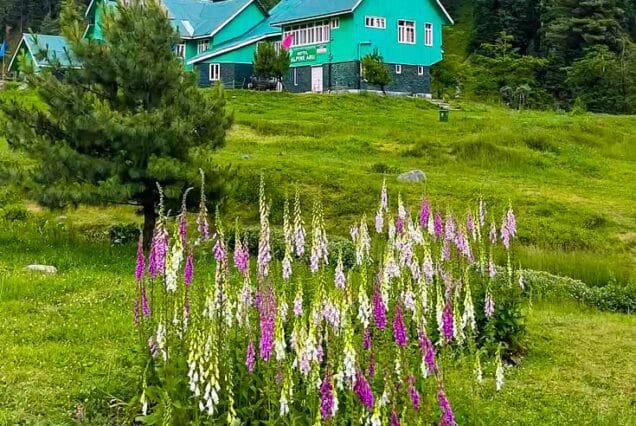Kashmir summer tour package 4 Night 5 Days
