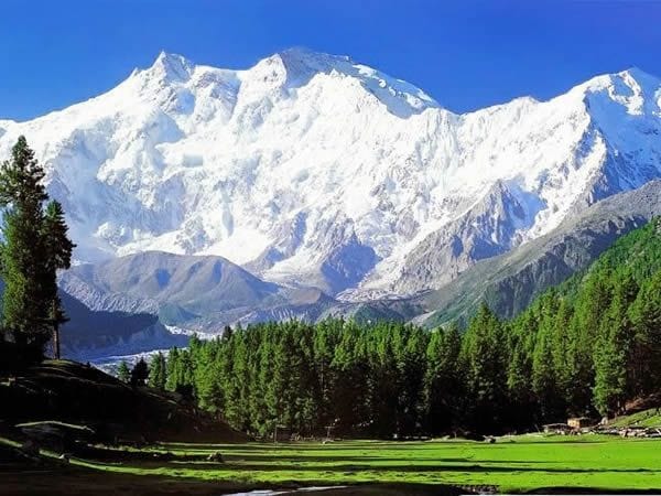 Is Kashmir safe for Tourists? A First-Time Visitor’s Guide (2026)
