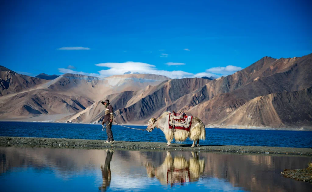Srinagar to Ladakh taxi service