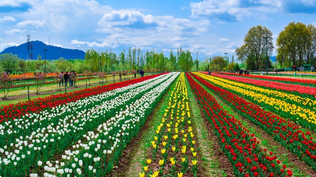 Srinagar in March