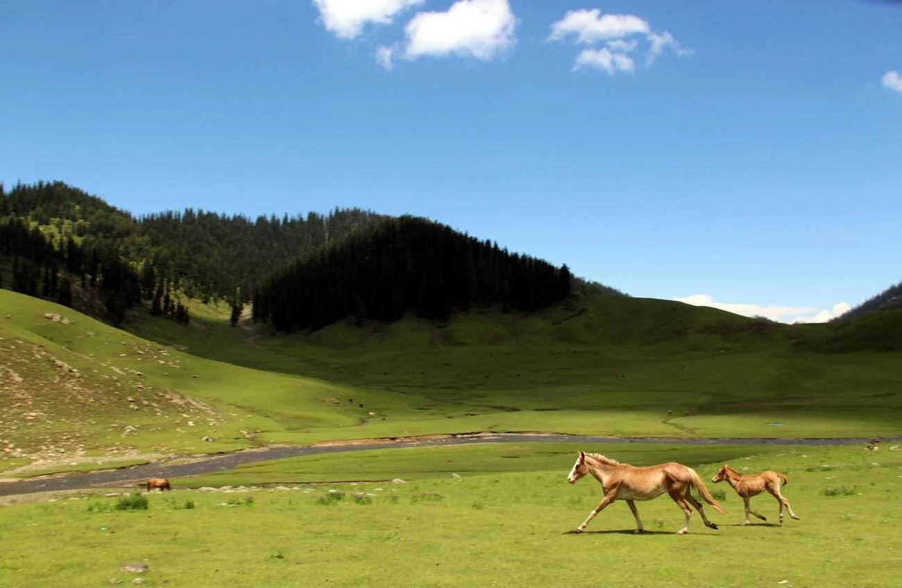 How to Plan Bangus Valley Trip: Complete Guide, Itinerary & Travel Tips