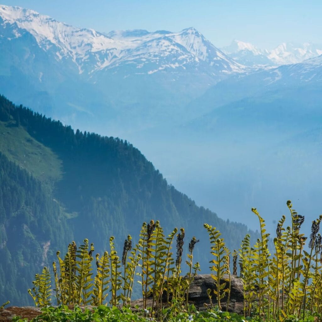 Best travel agency in kashmir