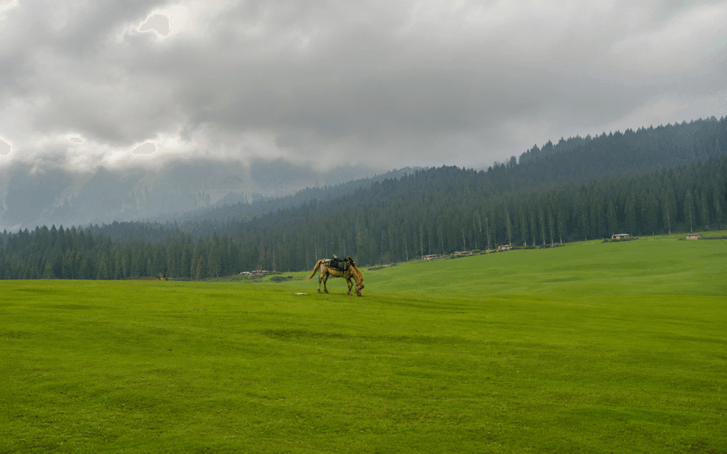 Top Valleys of Kashmir