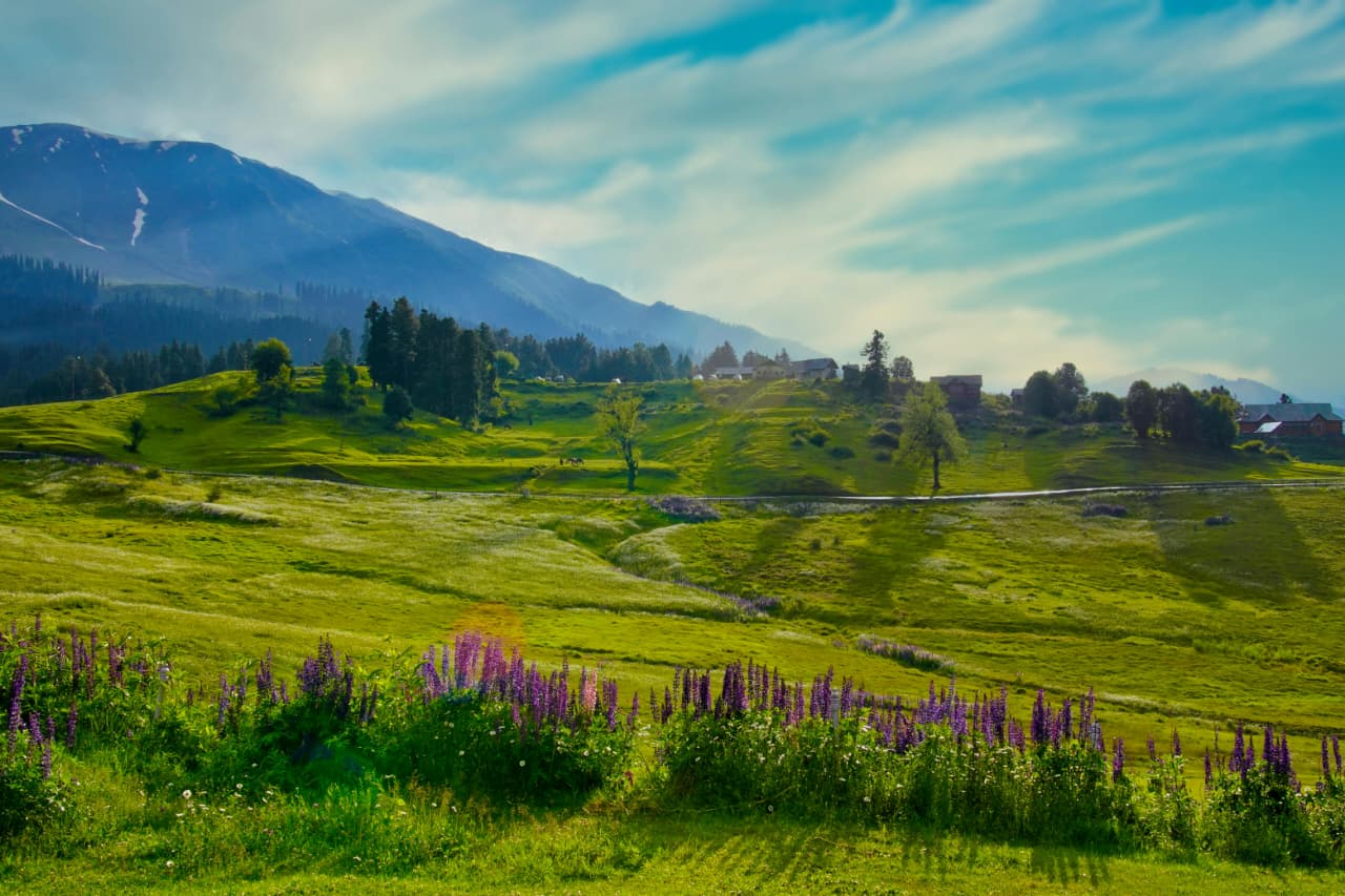 Top Valleys of Kashmir)