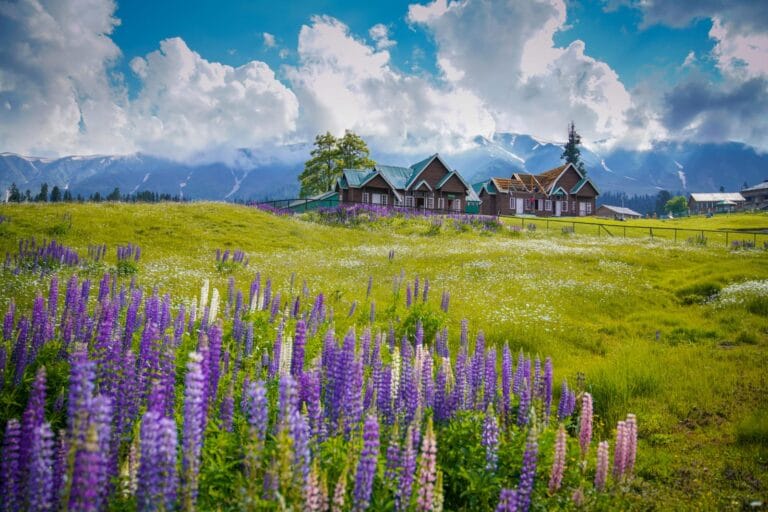 Gulmarg in Summer: A Complete Travel Guide for 2026