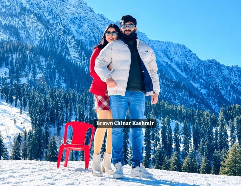 Summer vs Winter Kashmir