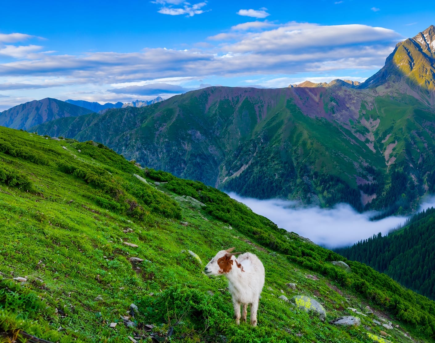 Kashmir Summer Tour Package Cost