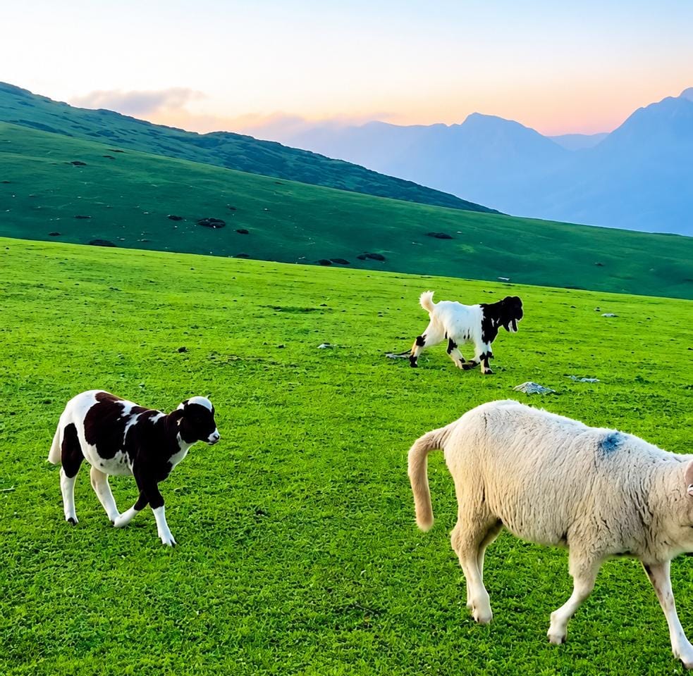 Kashmir Summer Tour Package Cost