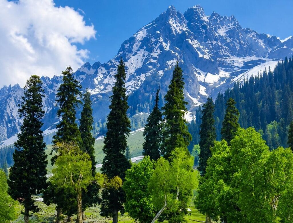 Kashmir Summer Tour Package Cost