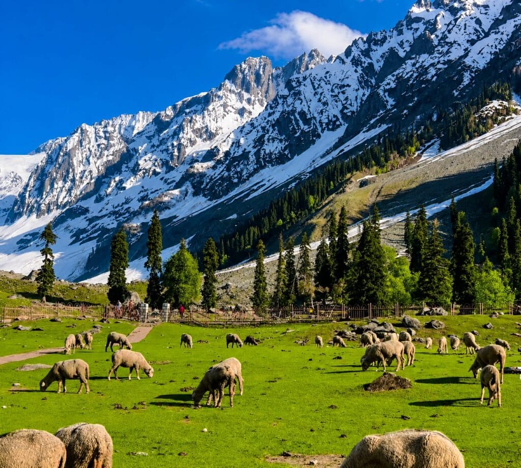 Kashmir Summer Tour Package Cost