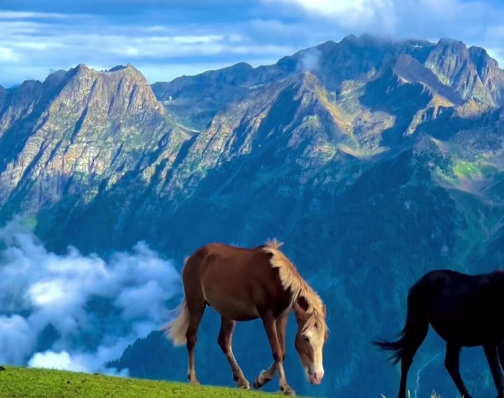 Kashmir Summer Tour Package Cost