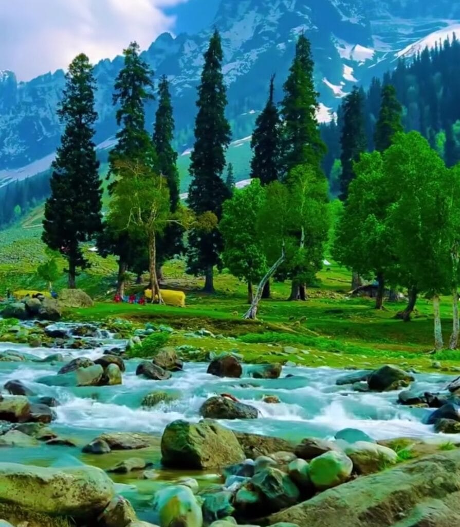 kashmir summer tour packages