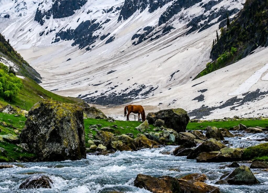Kashmir Summer Itinerary