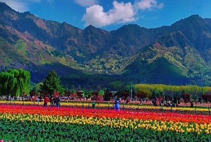 Kashmir Summer Tour Guide