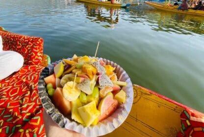 Kashmir vs Manali