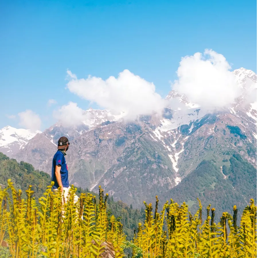 best travel operator in kashmir and srinagar