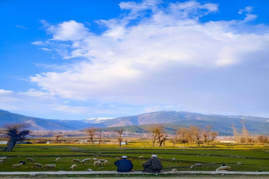 Top Valleys of Kashmir