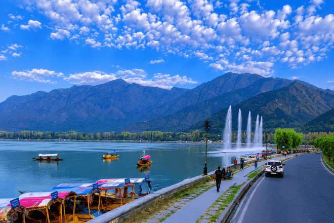 Tour Operator in Kashmir Services
