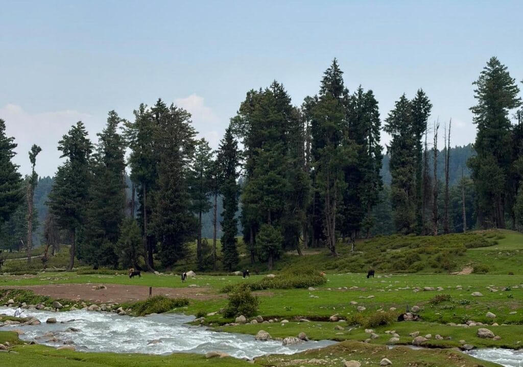 Affordable Kashmir Summer Tour Packages