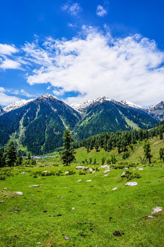 Affordable Kashmir Summer Tour Packages