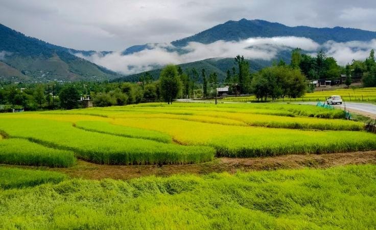 Hidden Valleys in Kashmir
