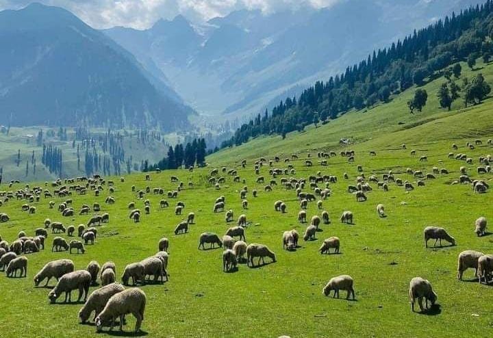 Offbeat Places to Visit in Kashmir