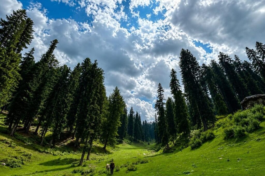 Offbeat Places to Visit in Kashmir