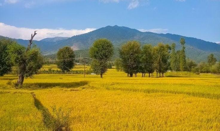 Offbeat Places to Visit in Kashmir