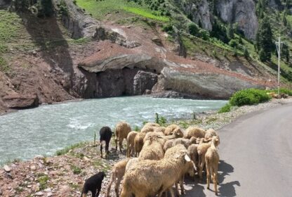 Where Are the Offbeat Places in Kashmir