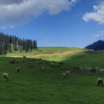 How to Reach Offbeat Kashmir from Mumbai