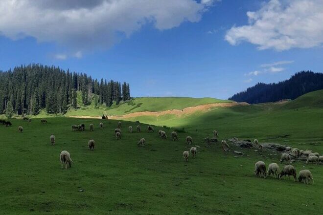 How to Reach Offbeat Kashmir from Mumbai