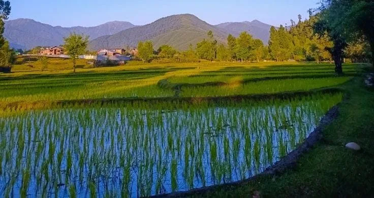 How to Reach Offbeat Kashmir from Mumbai