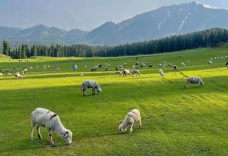 How to Reach Offbeat Kashmir from Mumbai
