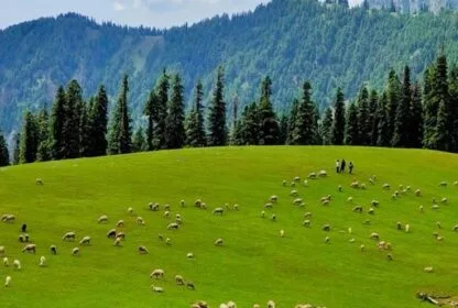 How to Reach Offbeat Kashmir from Mumbai