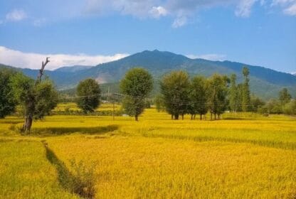 How to Reach Offbeat Kashmir from Srinagar