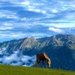 Local Travel Agency in Kashmir