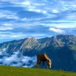 Local Travel Agency in Kashmir