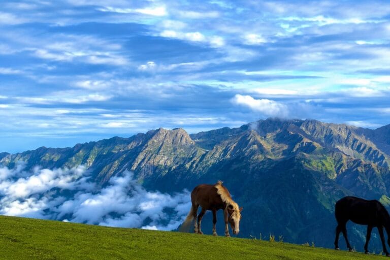 Why Book Your Kashmir Tour Through a Local Travel Agency?