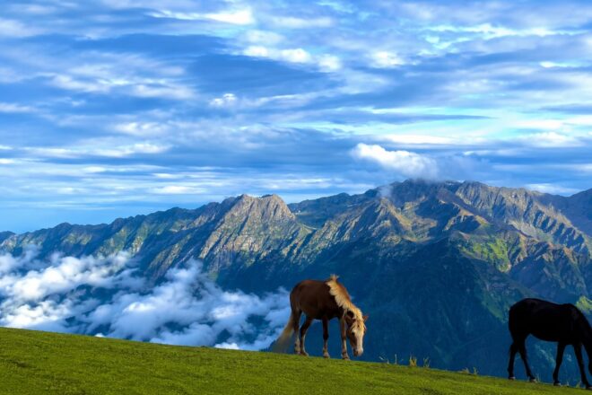 Local Travel Agency in Kashmir