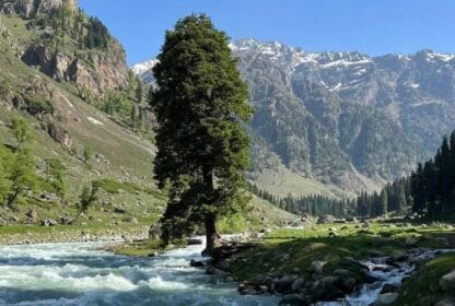 Local Travel Agency in Kashmir