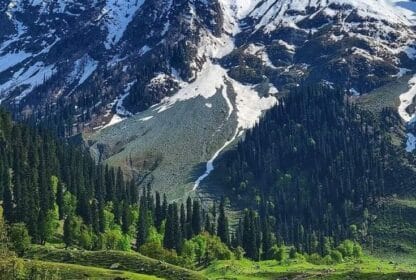 Local Travel Agency in Kashmir