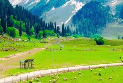 Tour Operator in Kashmir Services