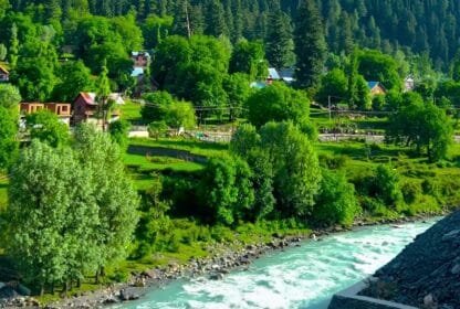 Tour Operator in Kashmir Services
