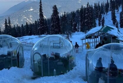 Tour Operator in Kashmir Services