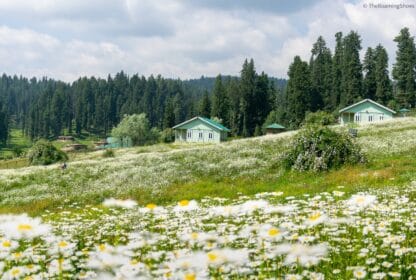 Hidden Valleys in Kashmir
