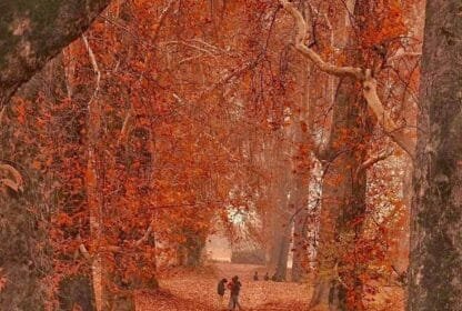 Kashmir Tour Package Cost)