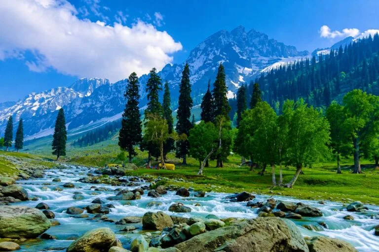 How Much Does a Kashmir Tour Package Cost in 2026?