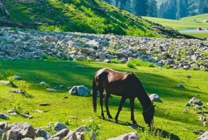Kashmir Tour Package Cost