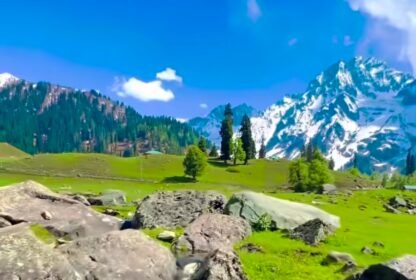 Travel Agency vs Online Booking Kashmir